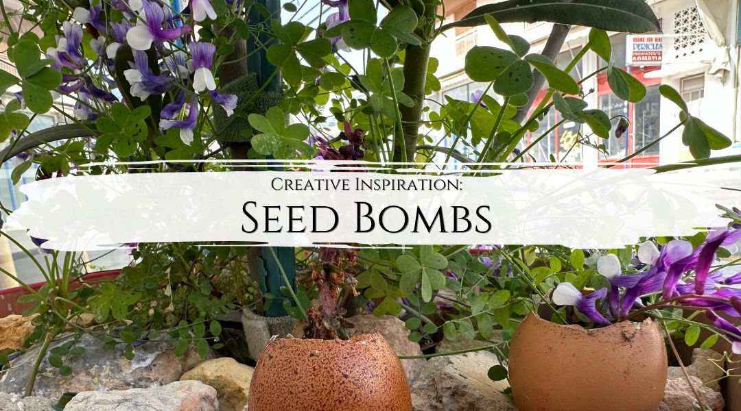 Seed Bombs: Blast Earth with life and colours and support biodiversity - My Tiny Sanctuary