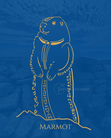 Marmot Animal Spirit Message for Modern Days