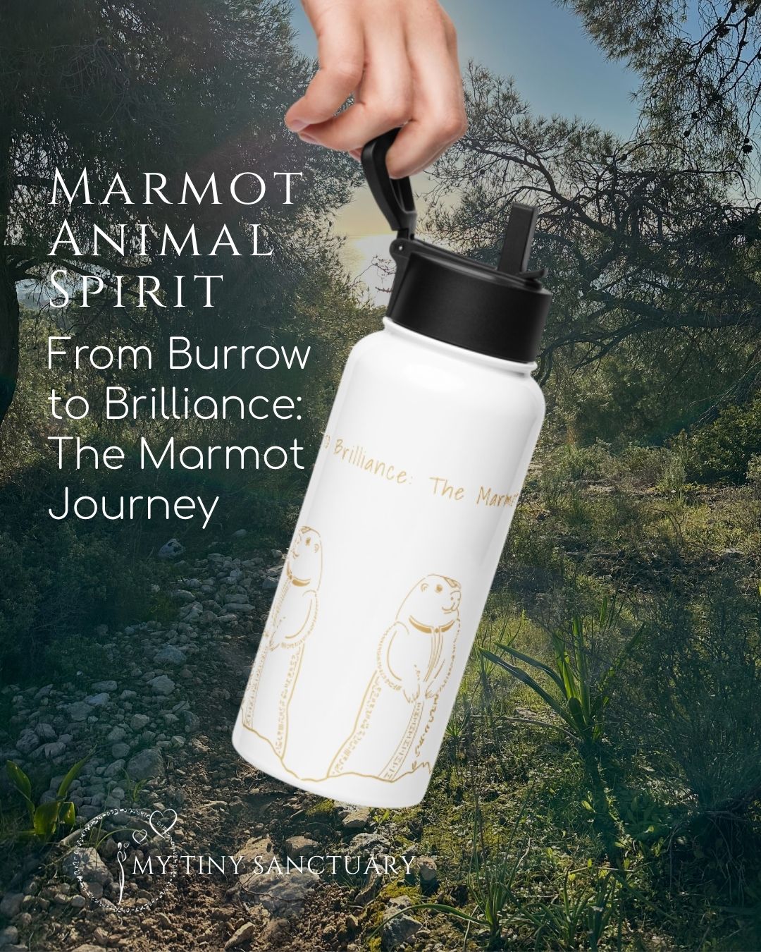 Marmot Animal Spirit Isotherm Bottle 950 mi (32 oz) in Stainless Steel