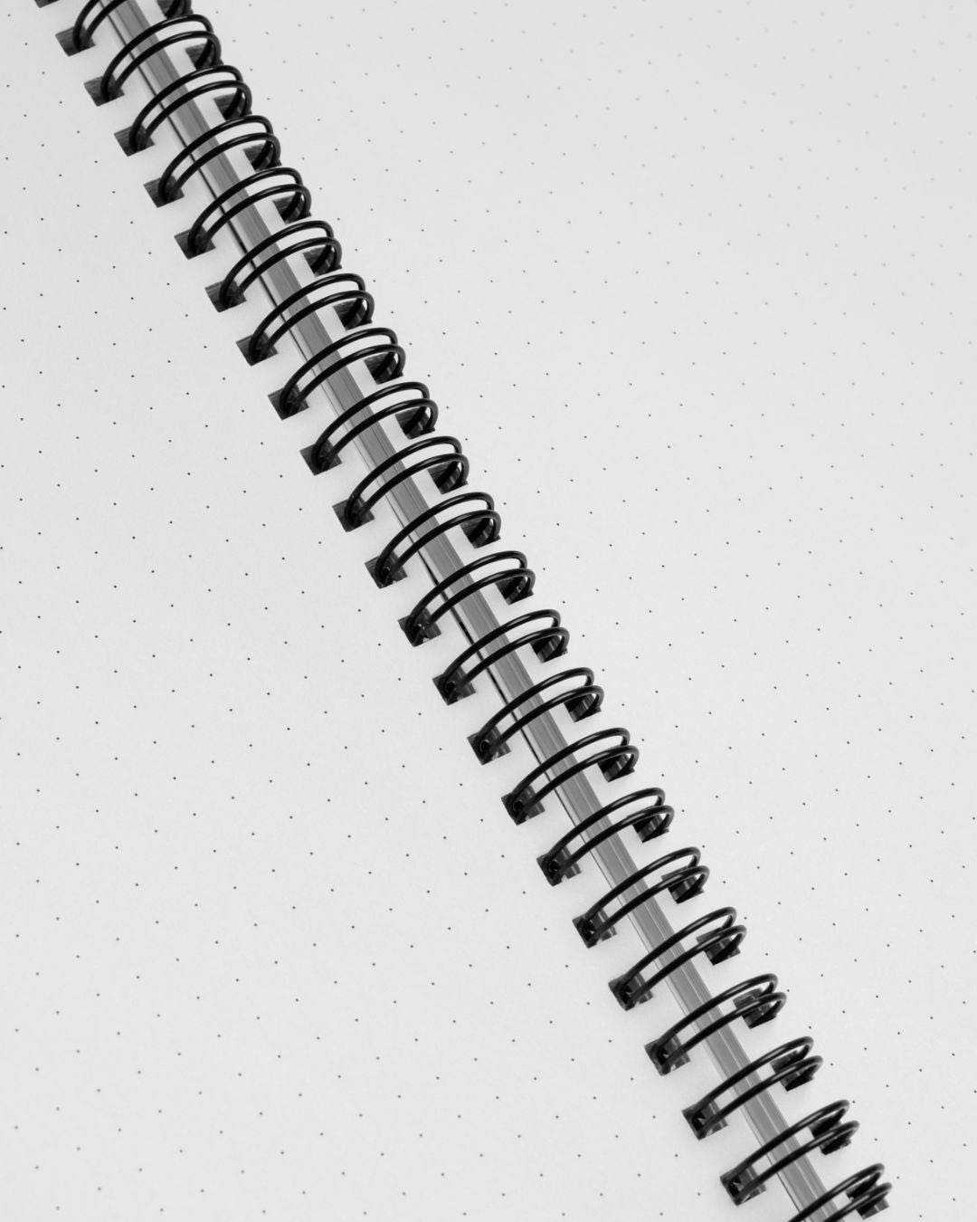Aegean Sea Fishes Notebook - Follow Your Stream - My Tiny Sanctuary
