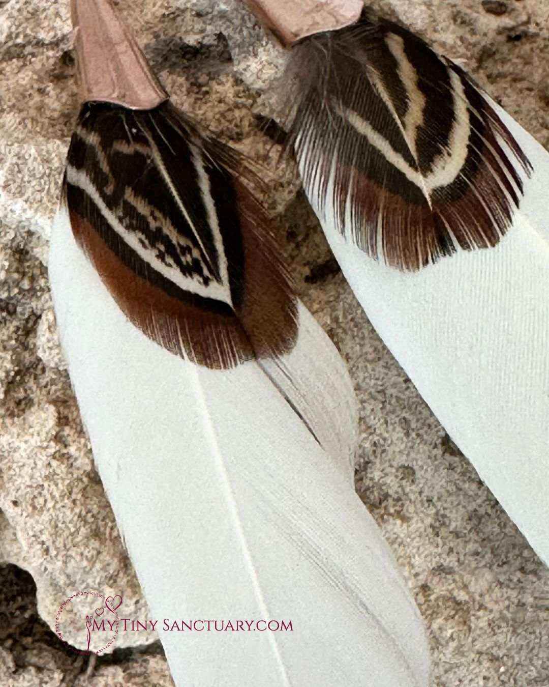Cream and Brown Pheasant Feather Earrings accented with Rose Gold Ornaments - My Tiny Sanctuary