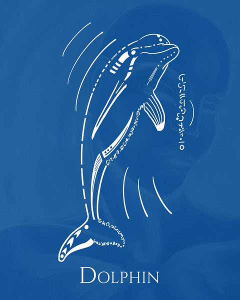Dolphin Animal Spirit • Energy speaks through you • Animal Spirit Messages For Modern Days - My Tiny Sanctuary