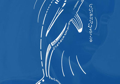 Dolphin Animal Spirit • Energy speaks through you • Animal Spirit Messages For Modern Days - My Tiny Sanctuary