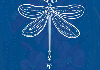 Dragonfly Animal Spirit Message for Modern Days - My Tiny Sanctuary