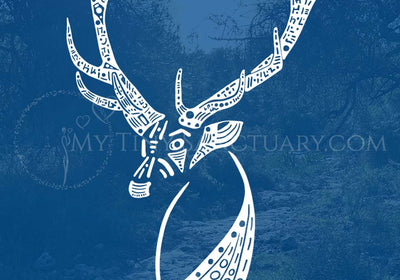 Elk-Animal-Spirit-Message My Tiny Sanctuary