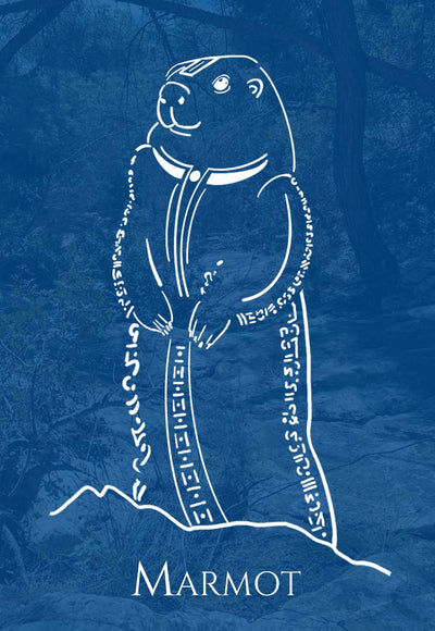 Marmot Animal Spirit • MAKING SPACE FOR THE NEW • RELEASING GUILT OR SHAME • LIFE CYCLES • FLEXIBILITY