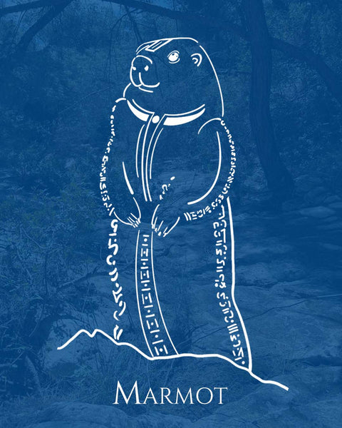 Marmot Animal Spirit • MAKING SPACE FOR THE NEW • RELEASING GUILT OR SHAME • LIFE CYCLES • FLEXIBILITY