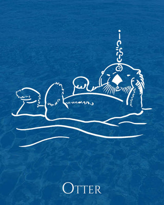 Otter Animal Spirit • PLAYFULNESS • OPPORTUNITIES • SIMPLICITY