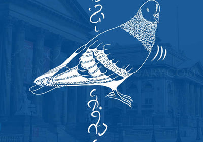 Pigeon Animal Spirit: Inner Compass | Senses Wisdom | Find Equilibrium