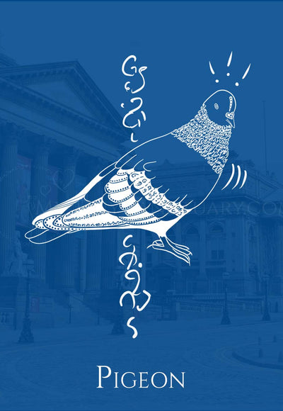 Pigeon Animal Spirit: Inner Compass | Senses Wisdom | Find Equilibrium