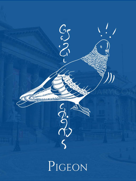 Pigeon Animal Spirit: Inner Compass | Senses Wisdom | Find Equilibrium