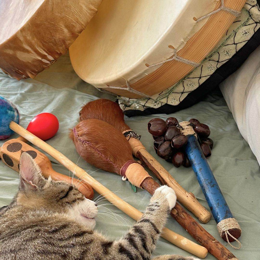 Frequency Medicine - My Tiny Sanctuary