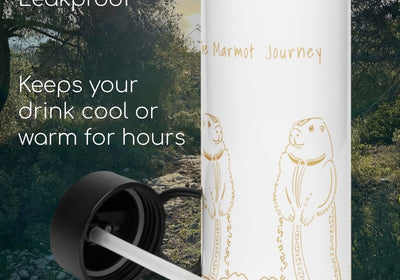 Marmot Animal Spirit Isotherm Bottle 950 mi (32 oz) in Stainless Steel