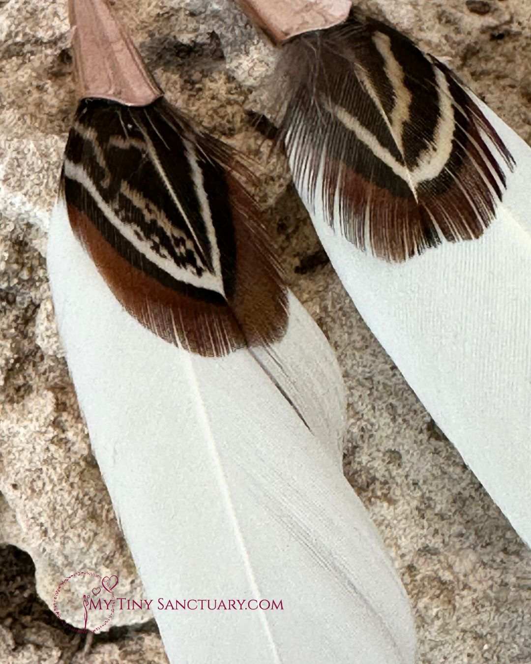 Cream and Brown Feather Earrings accented with Rose Gold