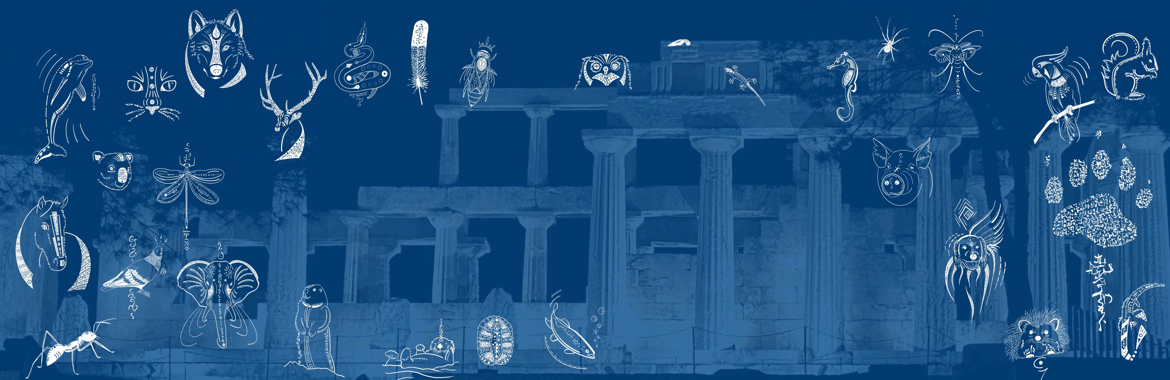 Animal Spirit Guide | Ancient Wisdom for Modern Life