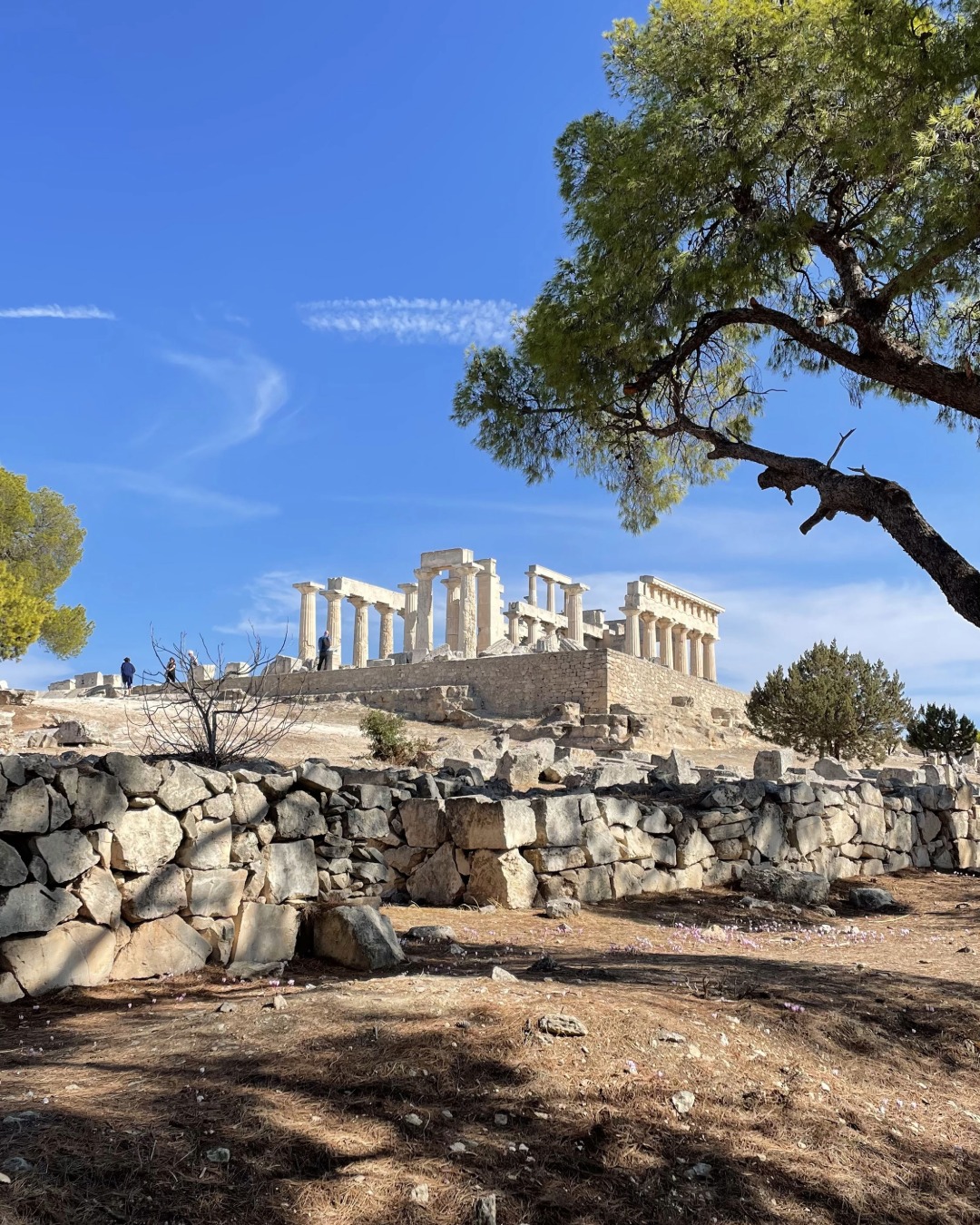 Aphaia Gentle Stroll