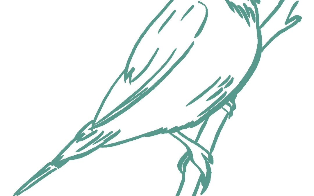 Sparrow Spirit Animal Wisdom and Messages