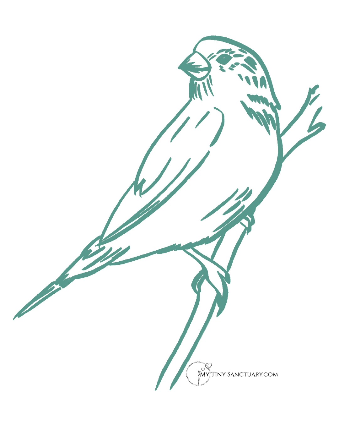 Sparrow Spirit Illustration 01
