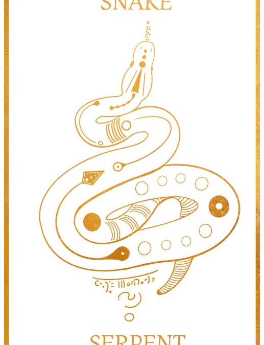 Serpent Spirit Animal Wisdom and Messages