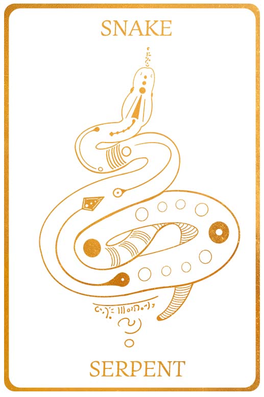 Serpent Spirit Animal Wisdom and Messages
