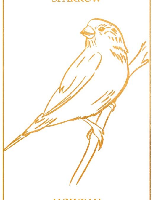 Sparrow Spirit Animal Wisdom and Messages