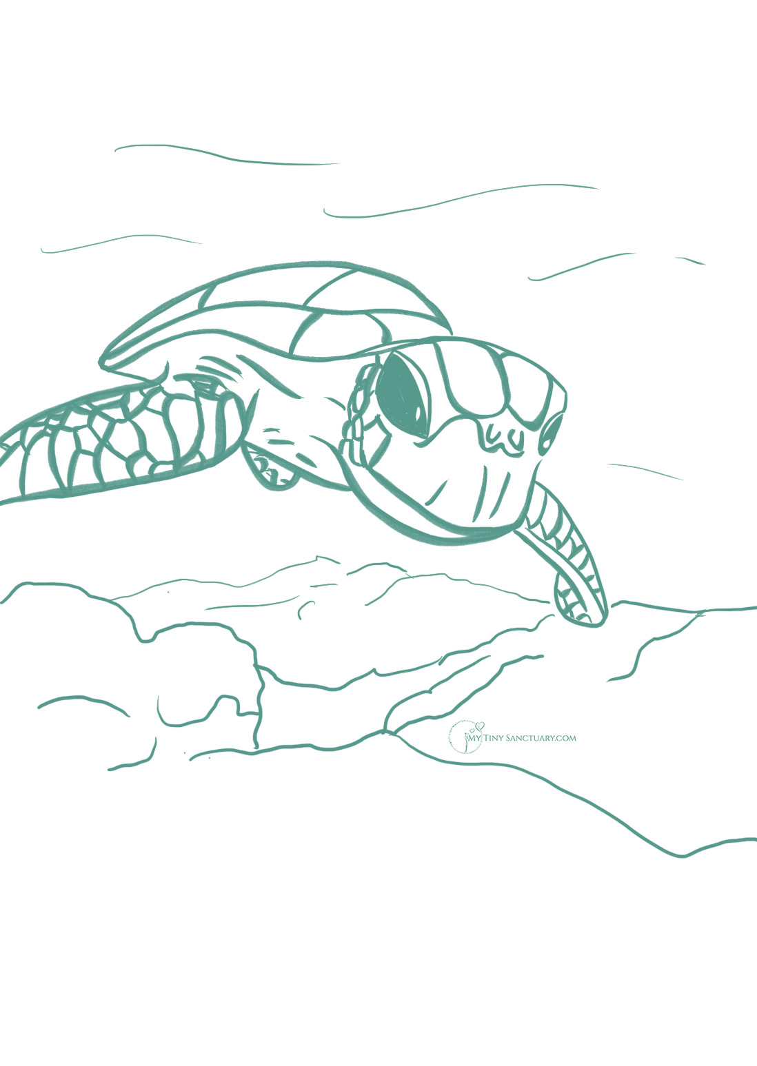 Turtle Sparrow Spirit Illustration 01