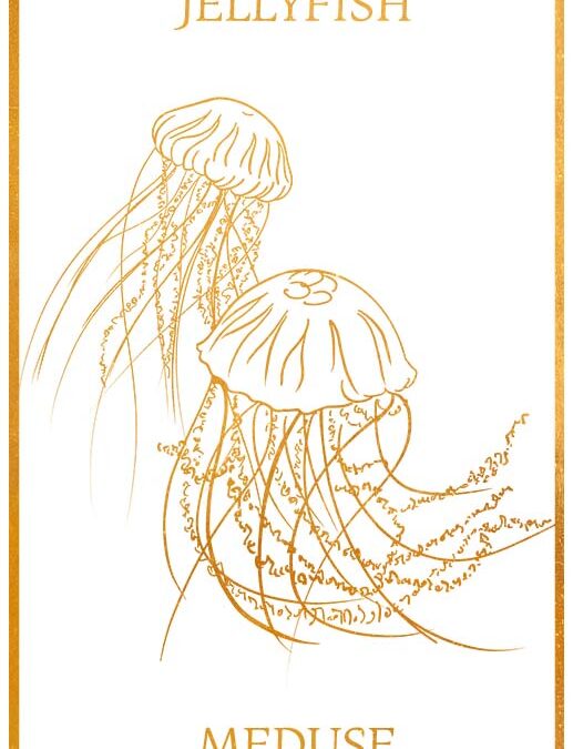 Jellyfish Animal Spirit: Ancient Myths, Deep Flow and the Power of Your Own Light